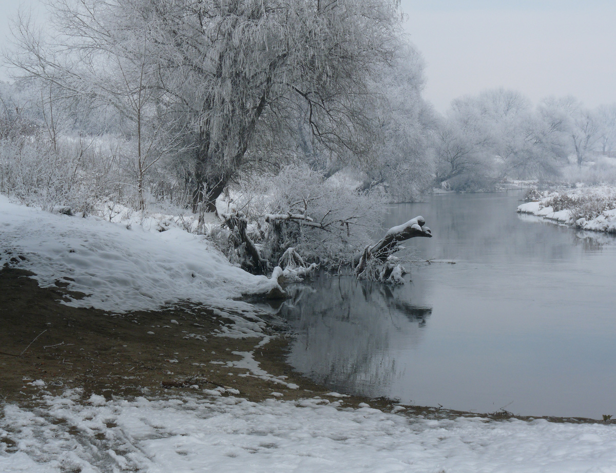 photo "***" tags: landscape, winter