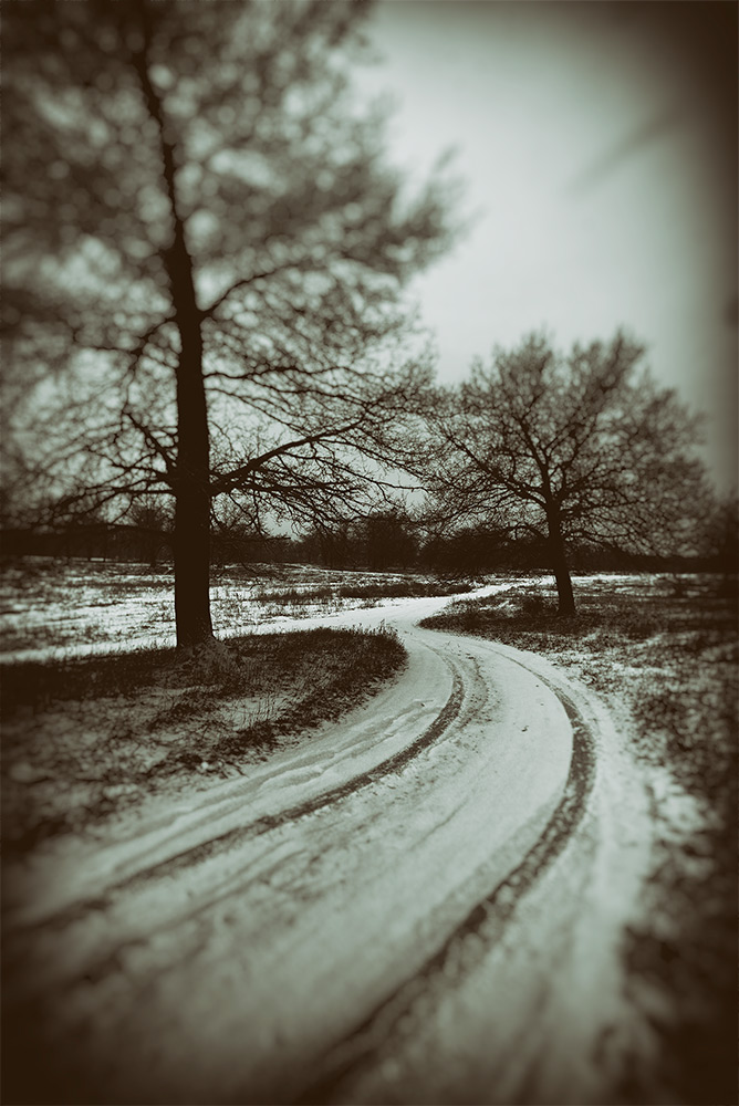 photo "***" tags: landscape, black&white, digital art, 