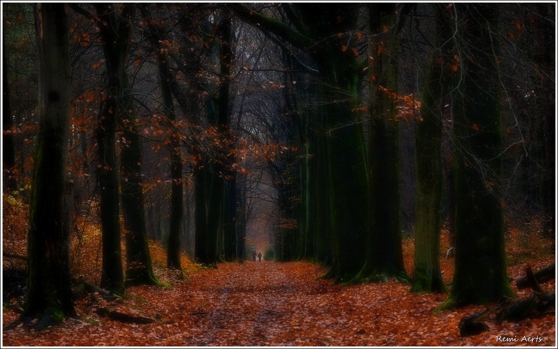 photo "***" tags: landscape, nature, 
