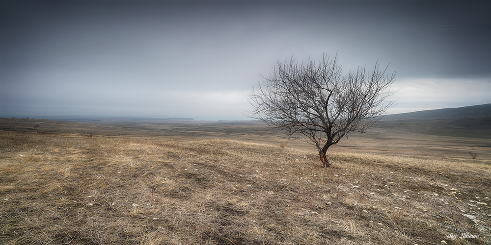 фото "***" метки: пейзаж, 