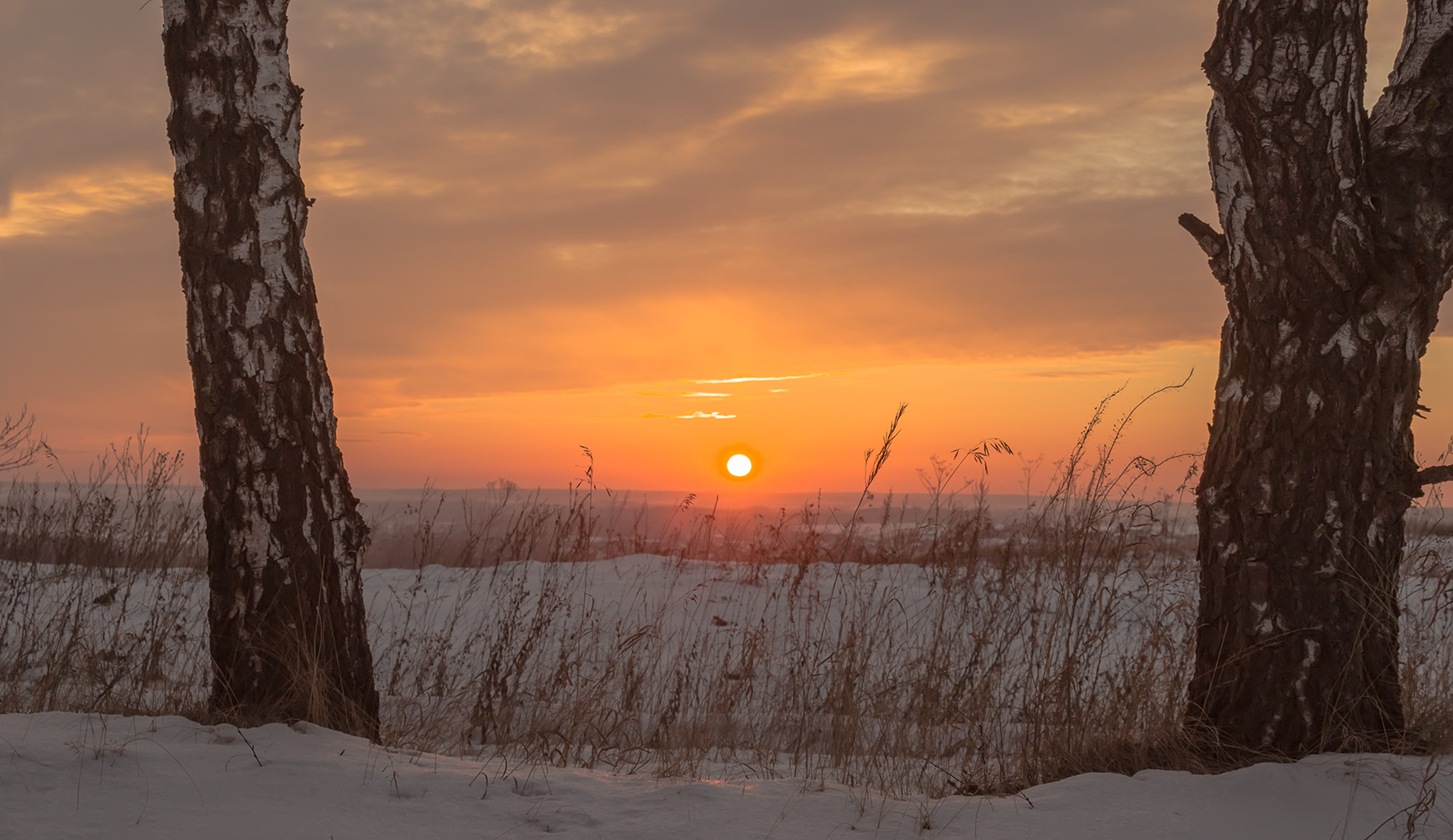 фото "Берёзы и закат." метки: , 