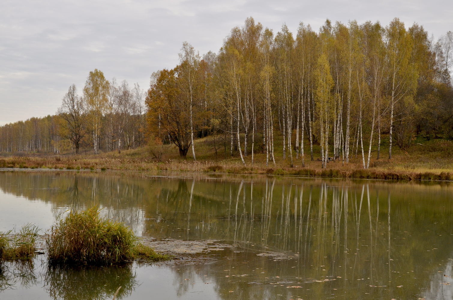 photo "***" tags: landscape, autumn, pond, Абрамцево