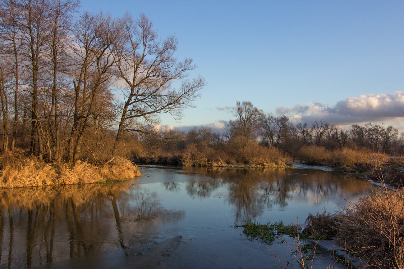 photo "***" tags: landscape, river, spring, Шерна