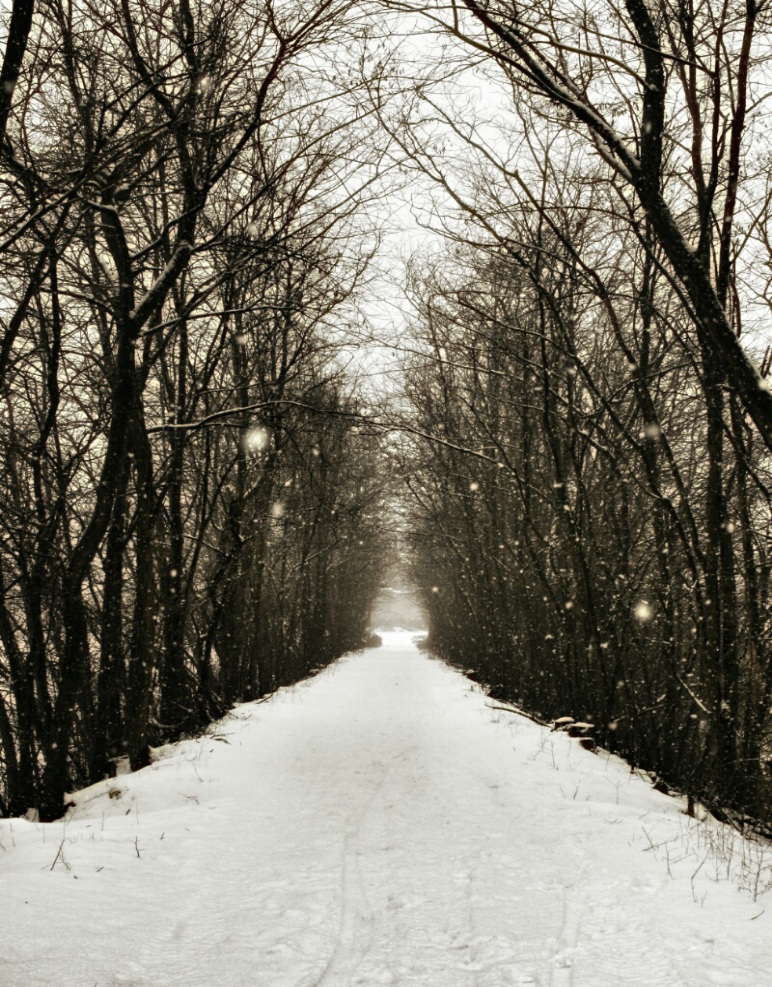 photo "Winter" tags: landscape, nature, digital art, snow, winter