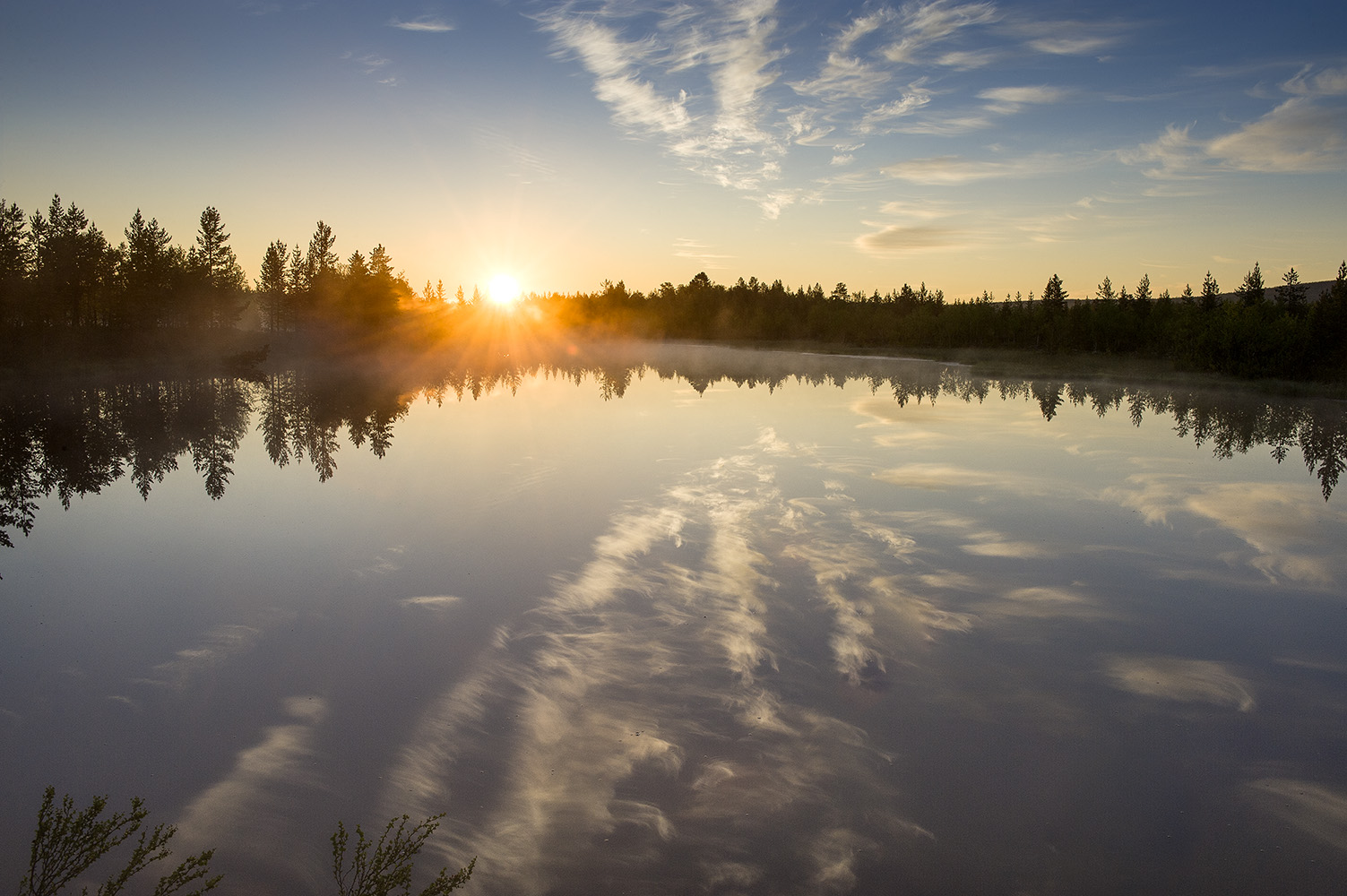 photo "***" tags: landscape, nature, forest, lake, summer, Восход