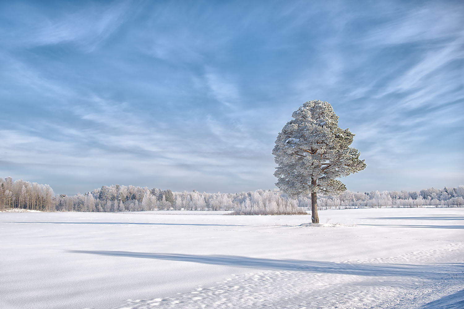 фото "***" метки: пейзаж, зима, снег