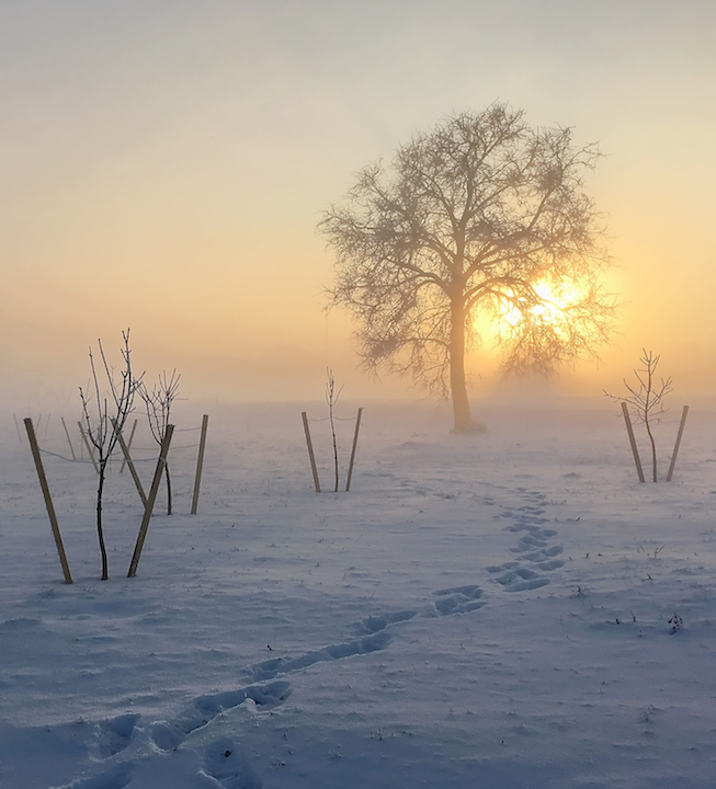 photo "***" tags: landscape, nature, clouds, sun, sunset, winter