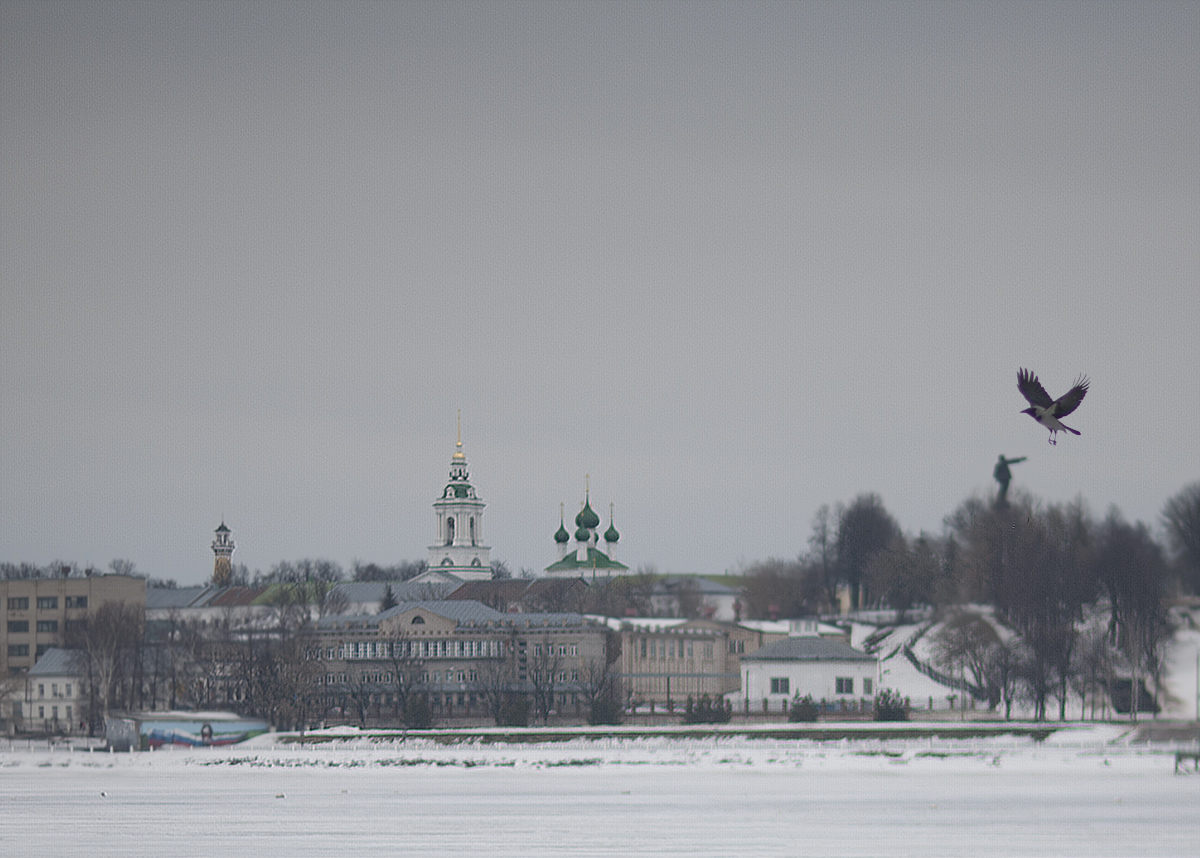 фото "Город с правого берега Волги зимой" метки: город, kostroma, зима, кострома, птица, снег
