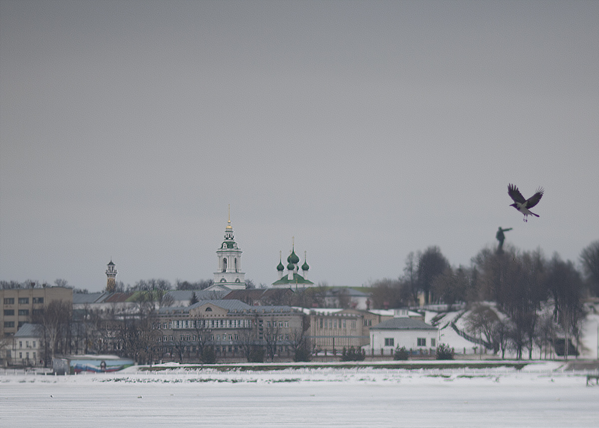 photo "Город с правого берега Волги зимой" tags: city, bird, kostroma, snow, winter, кострома