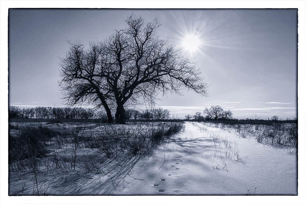 фото "***" метки: пейзаж, черно-белые, 