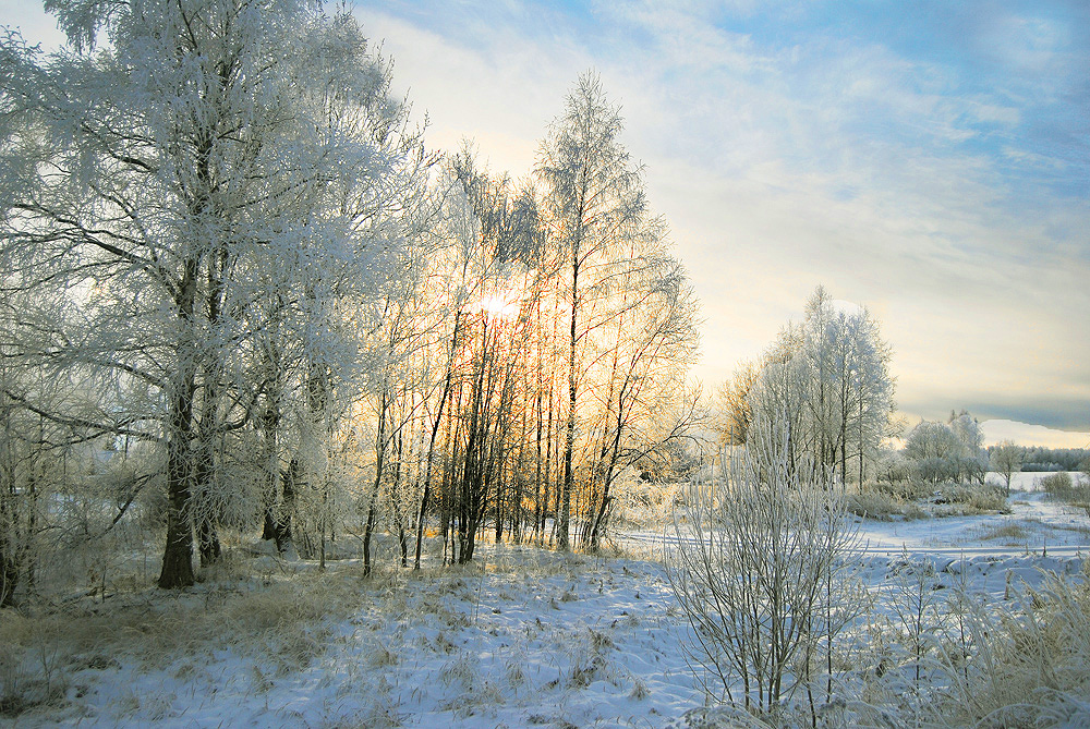 фото "Весенние заморозки" метки: пейзаж, природа, 