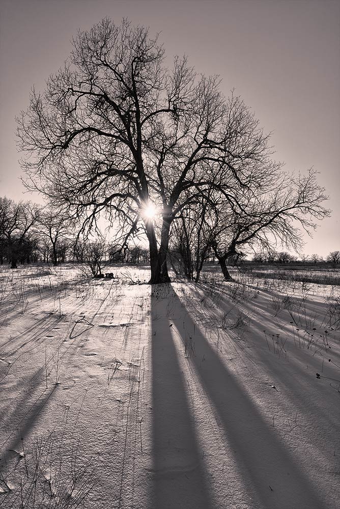 photo "***" tags: landscape, black&white, 