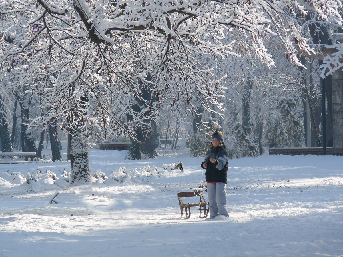 photo "***" tags: nature, winter