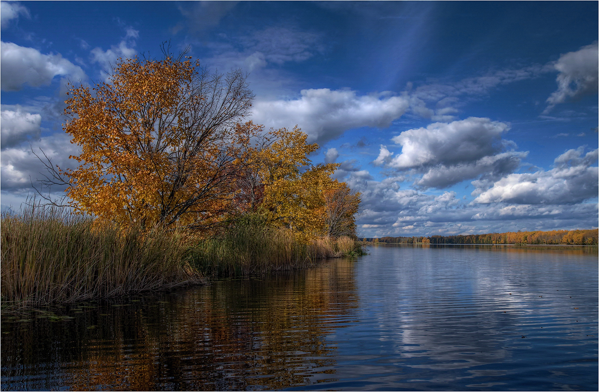 фото "***" метки: пейзаж, вода, облака, осень, цветы