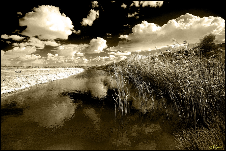 photo "reflected" tags: landscape, black&white, nature, black and white, sky