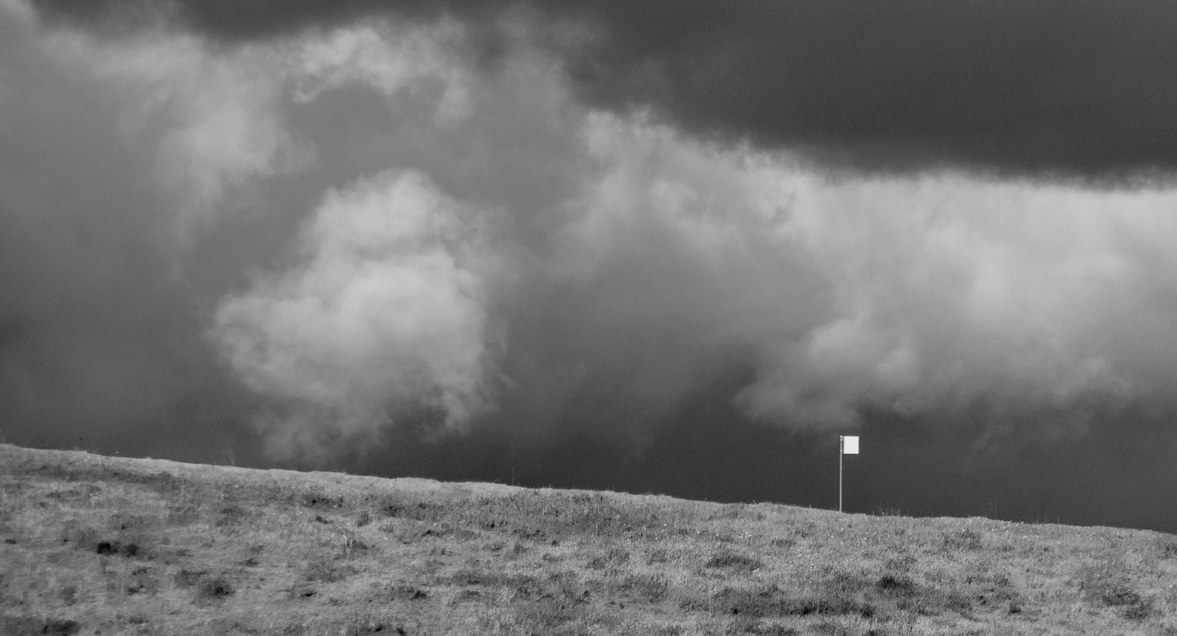 photo "К Дождю с градом." tags: black&white, landscape, скворечник