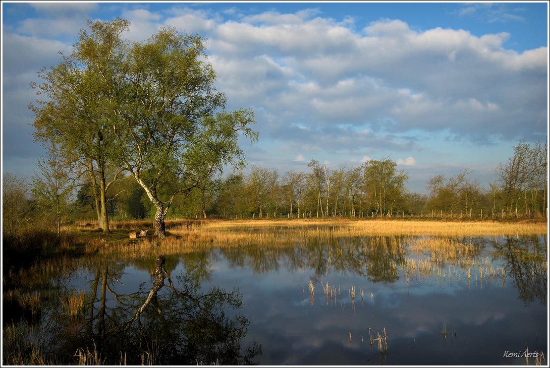 photo "***" tags: landscape, nature, 