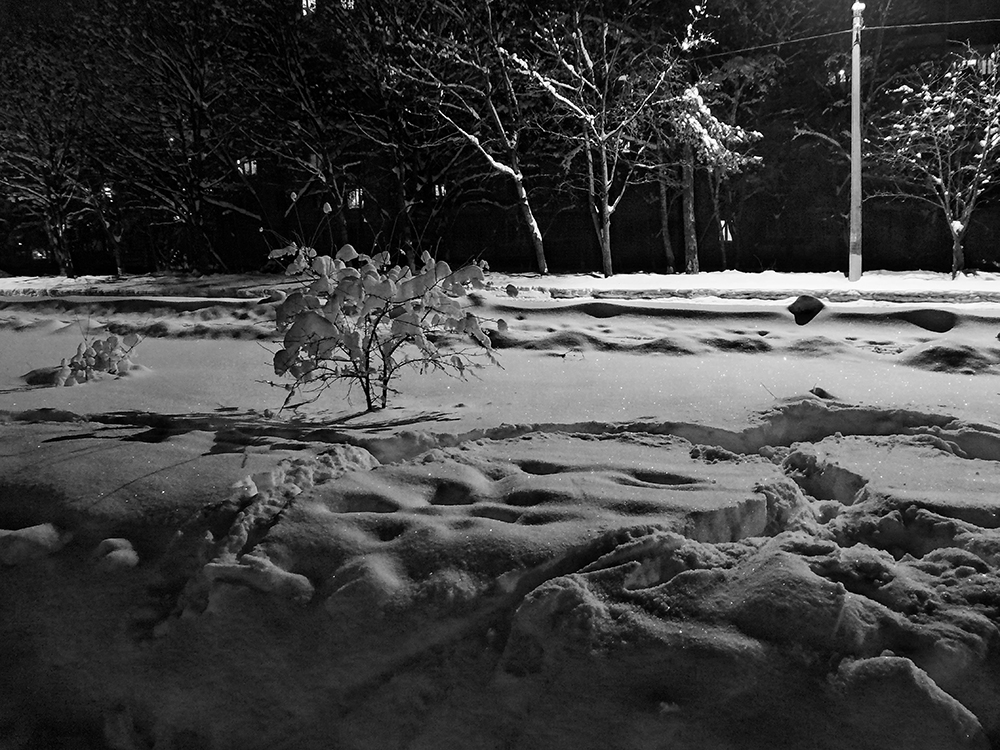 photo "Winter symphony" tags: landscape, nature, black&white, light, snow, street, winter, игра света, текстура, холод