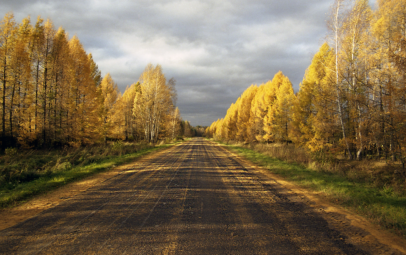 фото "осеннее..." метки: , 