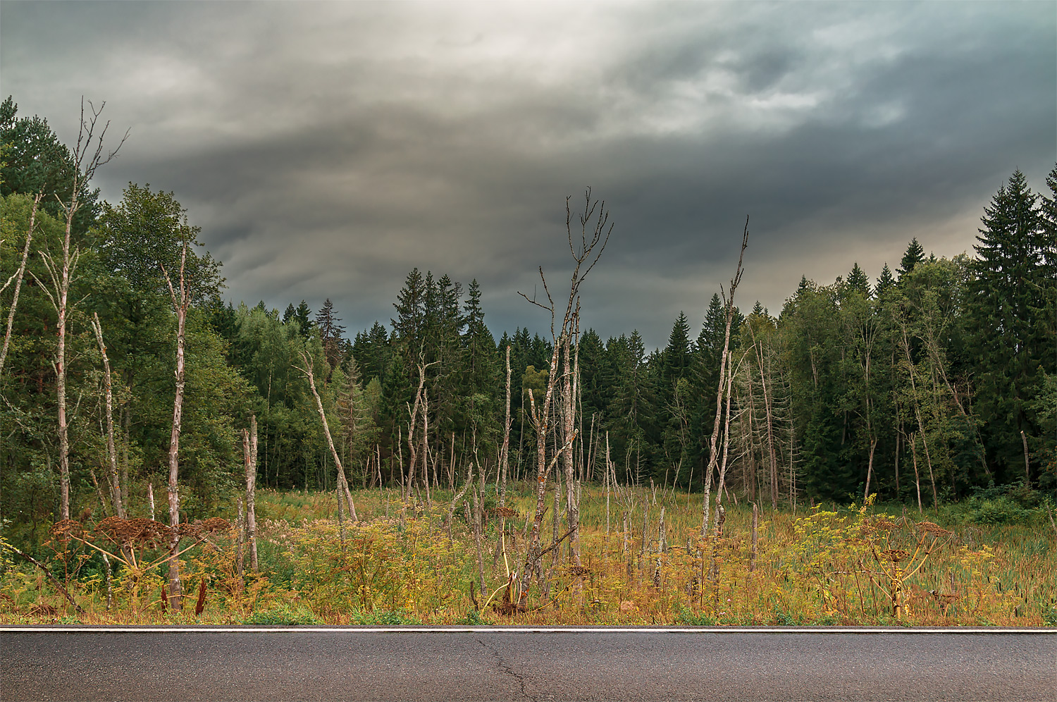 фото "***" метки: природа, 
