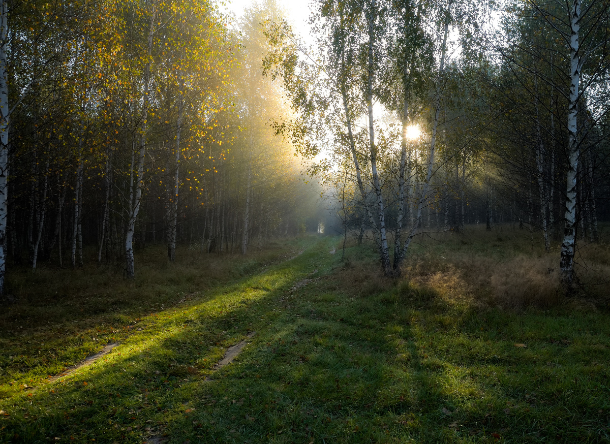 photo "***" tags: landscape, 