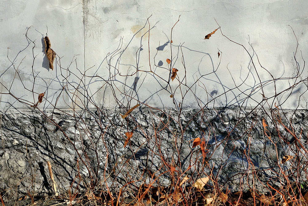 photo "***" tags: misc., 