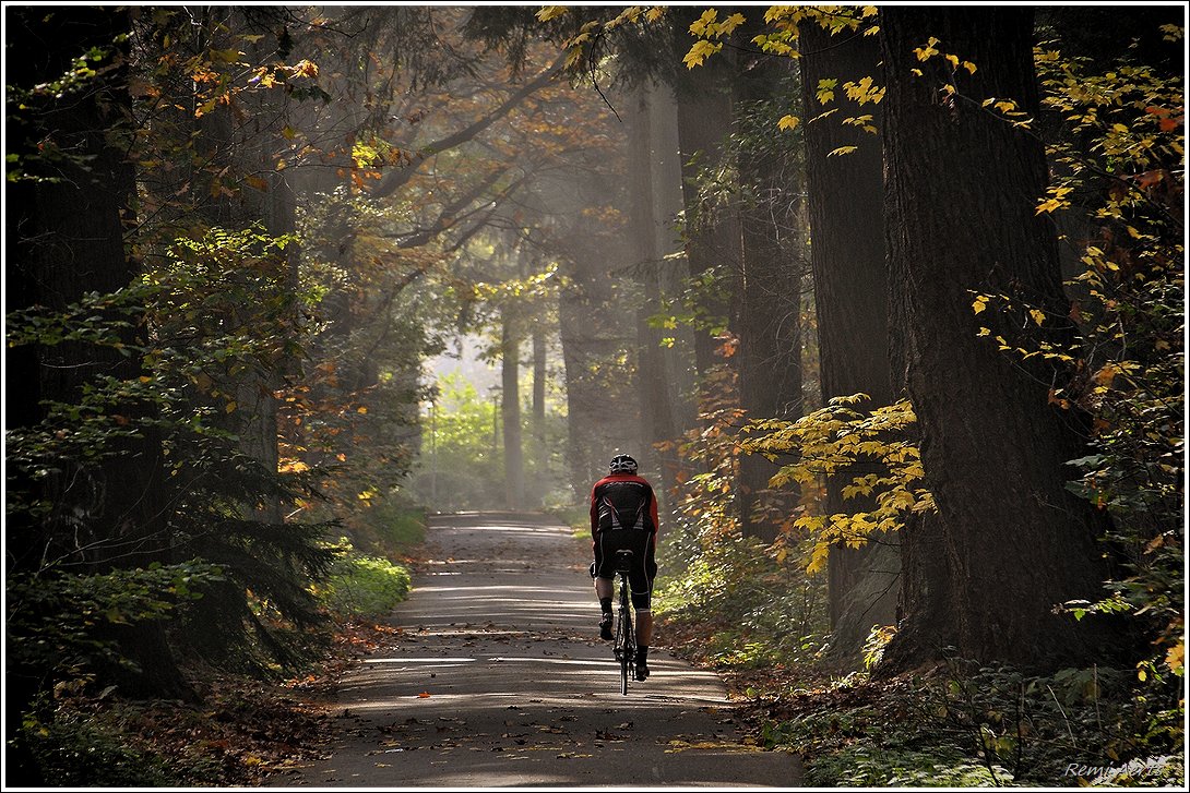 photo "***" tags: landscape, nature, street, 