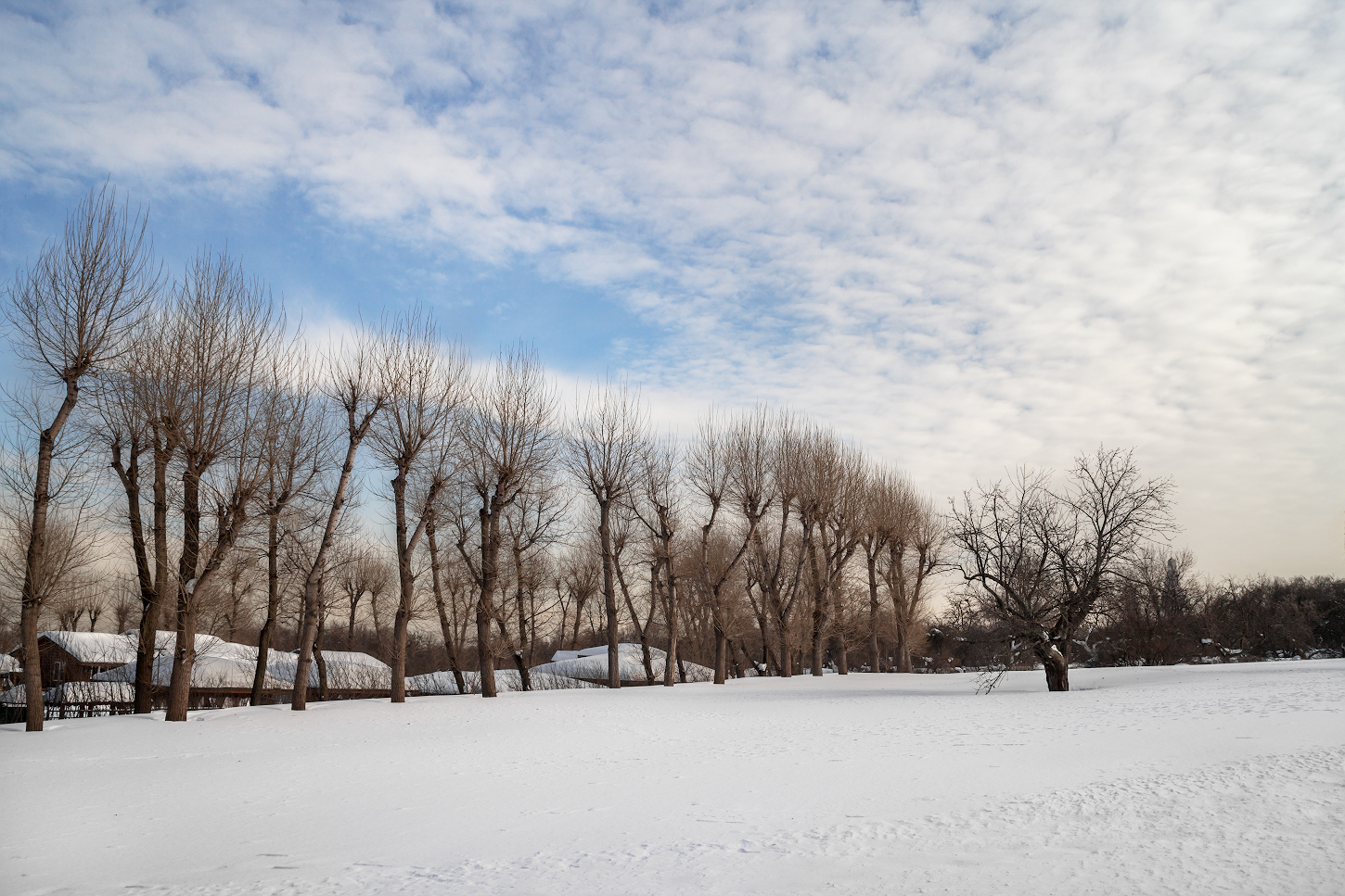 photo "***" tags: nature, landscape, 