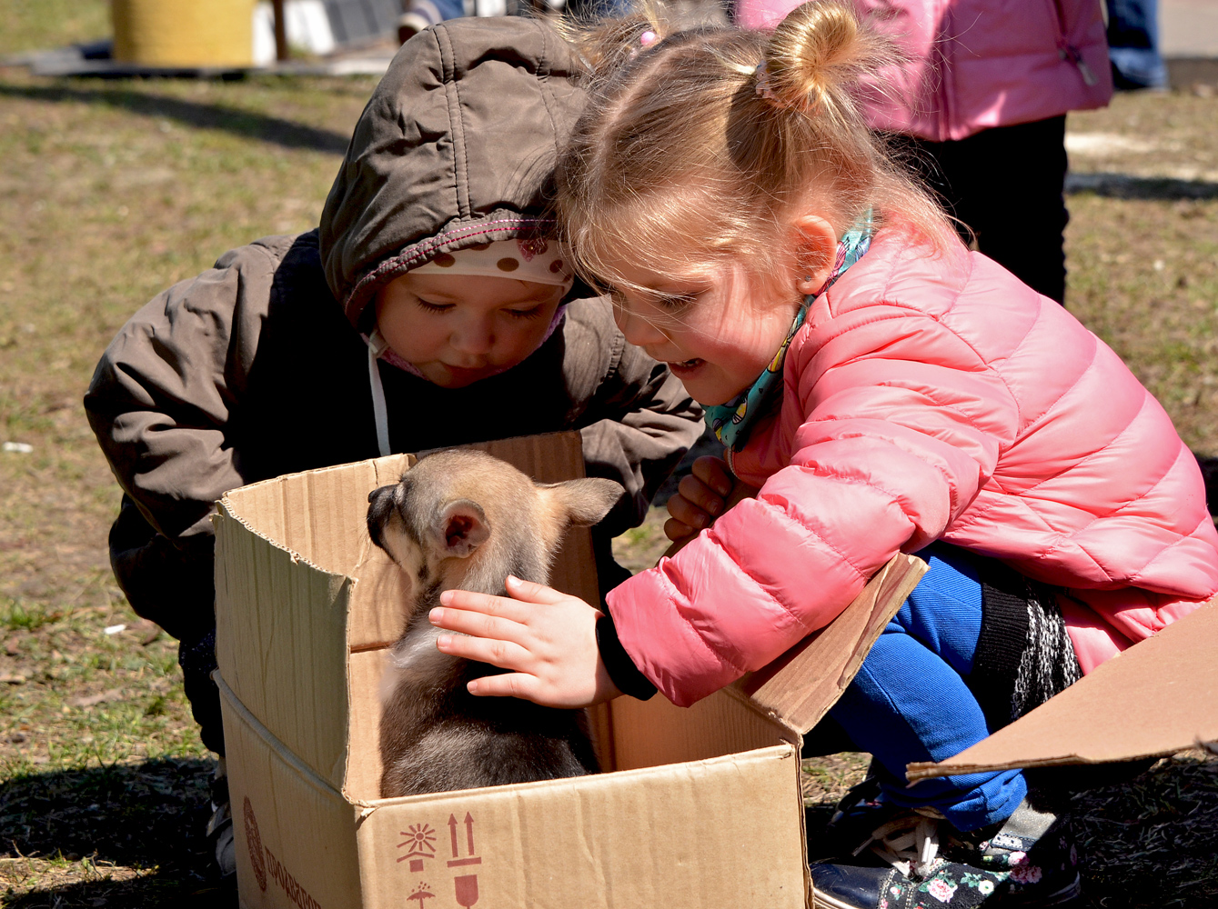 photo "***" tags: genre, children, spring, детство, щенок