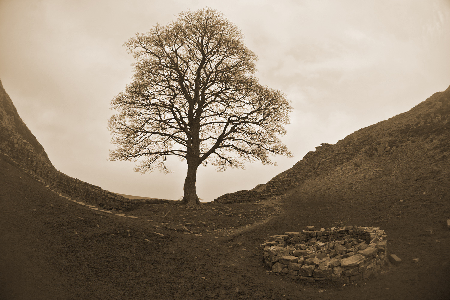 фото "Hadrian's wall 4" метки: природа, жанр, 