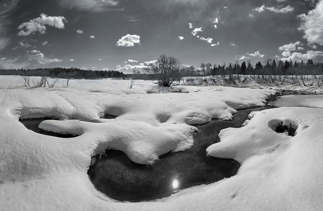 photo "***" tags: landscape, nature, black&white, spring