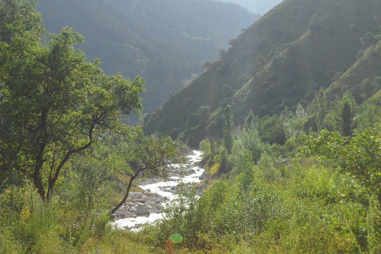 photo "***" tags: landscape, 