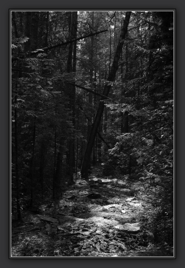 photo "***" tags: landscape, black&white, 