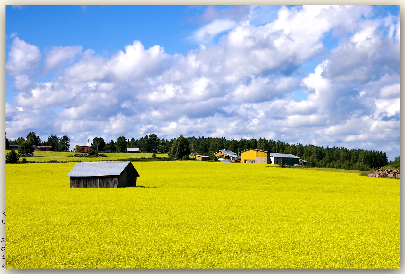 photo "Steading" tags: landscape, architecture, nature, Europe, clouds, summer