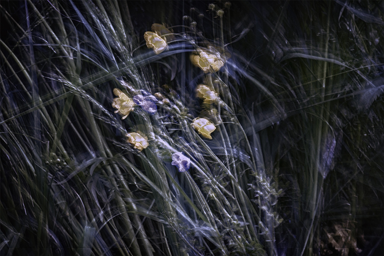 photo "***" tags: landscape, nature, macro and close-up, field, природа России, сумерки