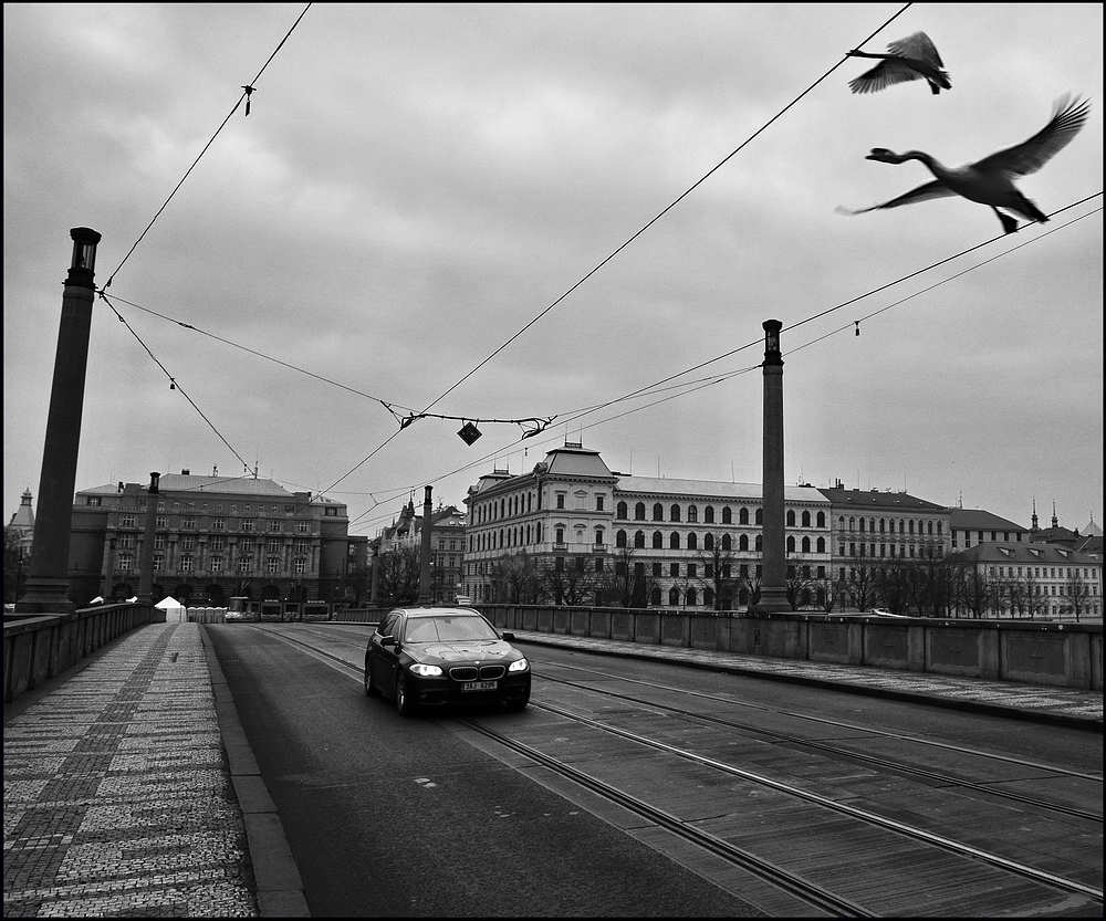 фото "Моментка на мосту" метки: черно-белые, Prag, Praha, Прага