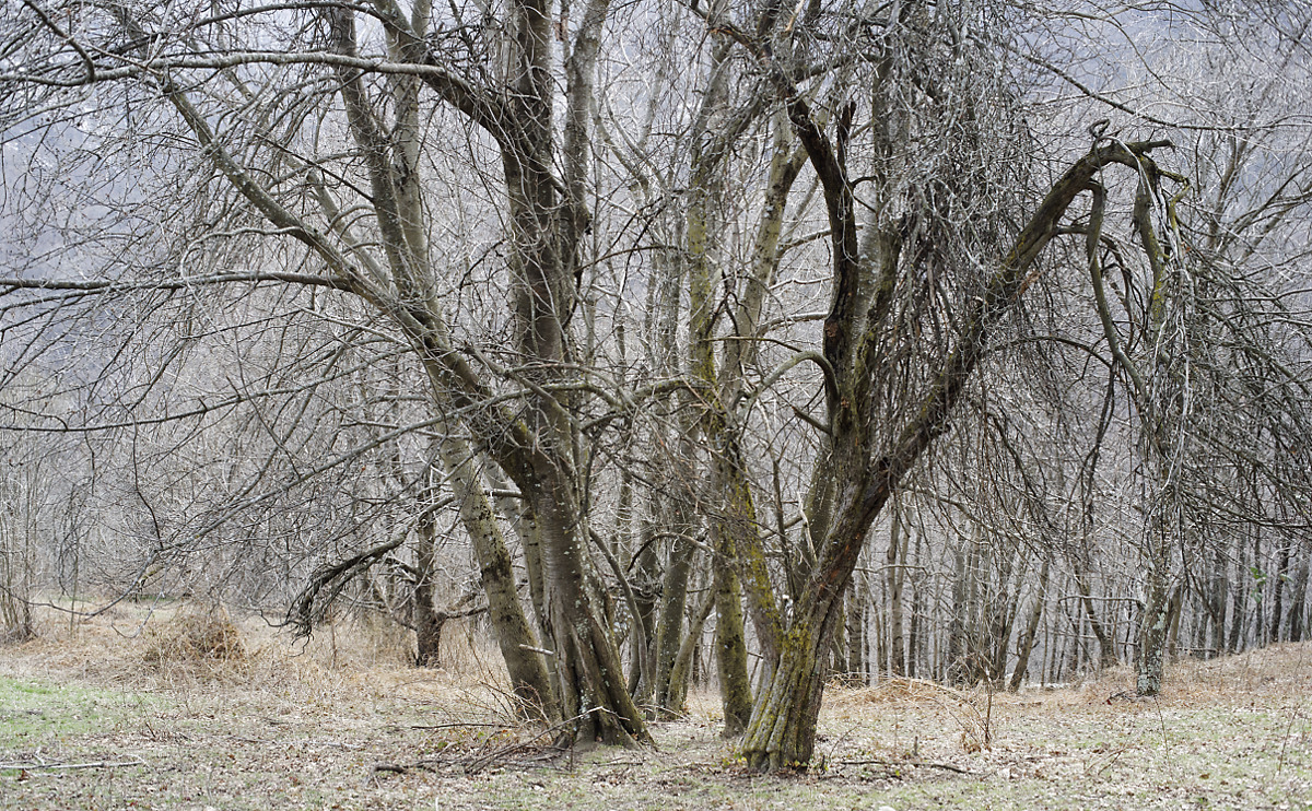 фото "***" метки: пейзаж, 