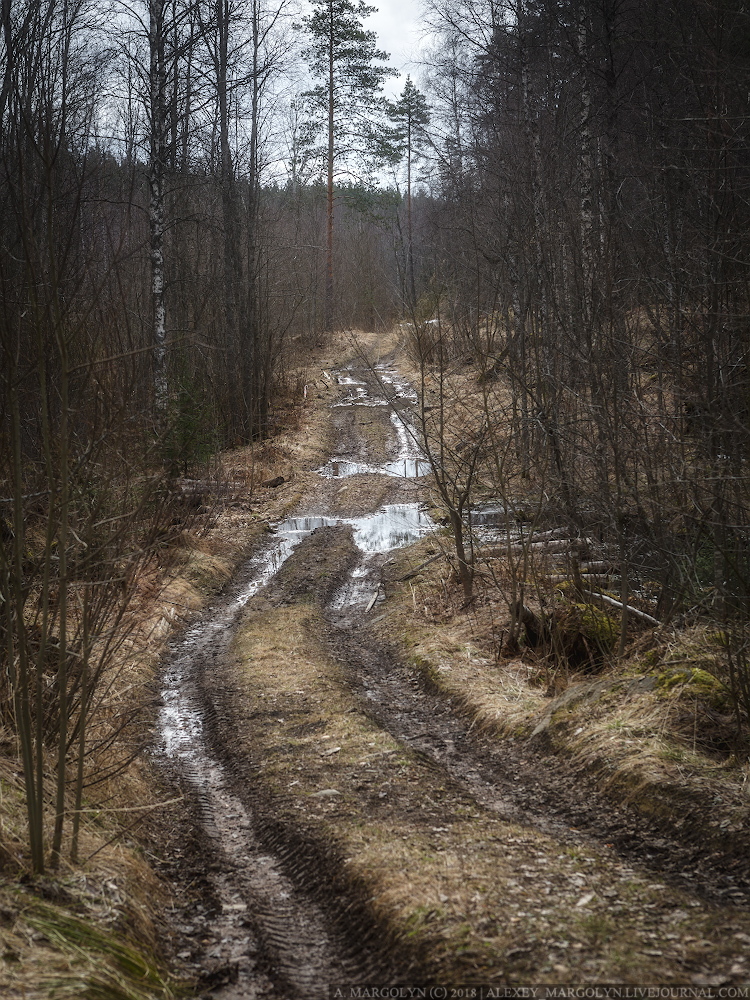 фото "Весенними дорогами" метки: пейзаж, путешествия, природа, весна, лес, поход, распутица