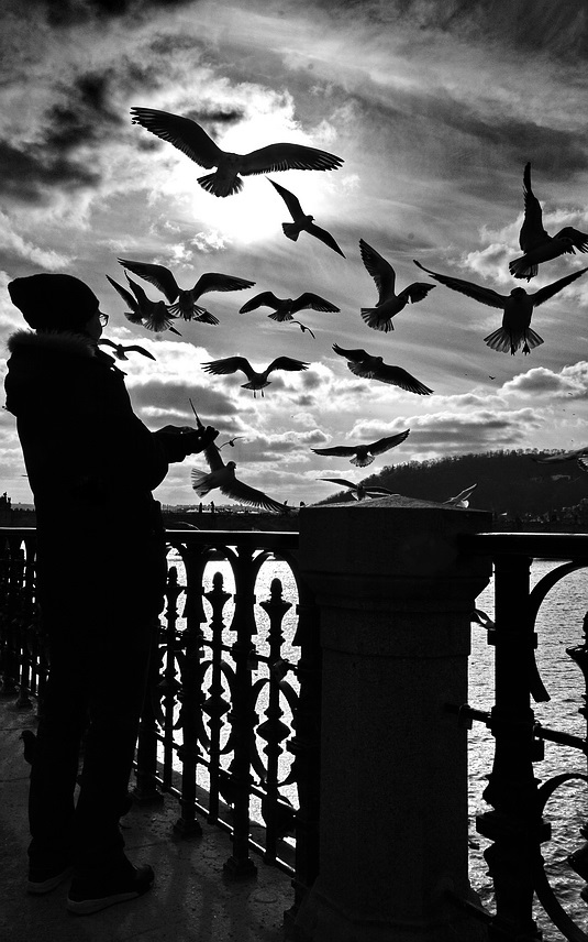 photo "Фигура и чайки" tags: black&white, Prag, Prague, Praha