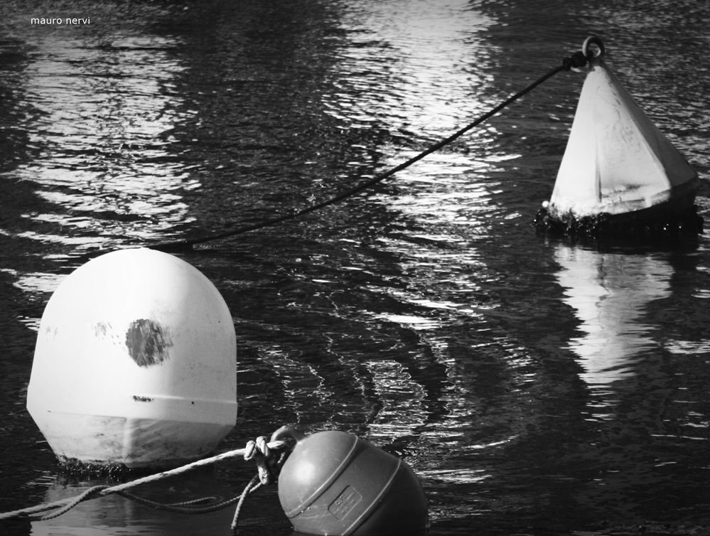 photo "calm waters" tags: black&white, 