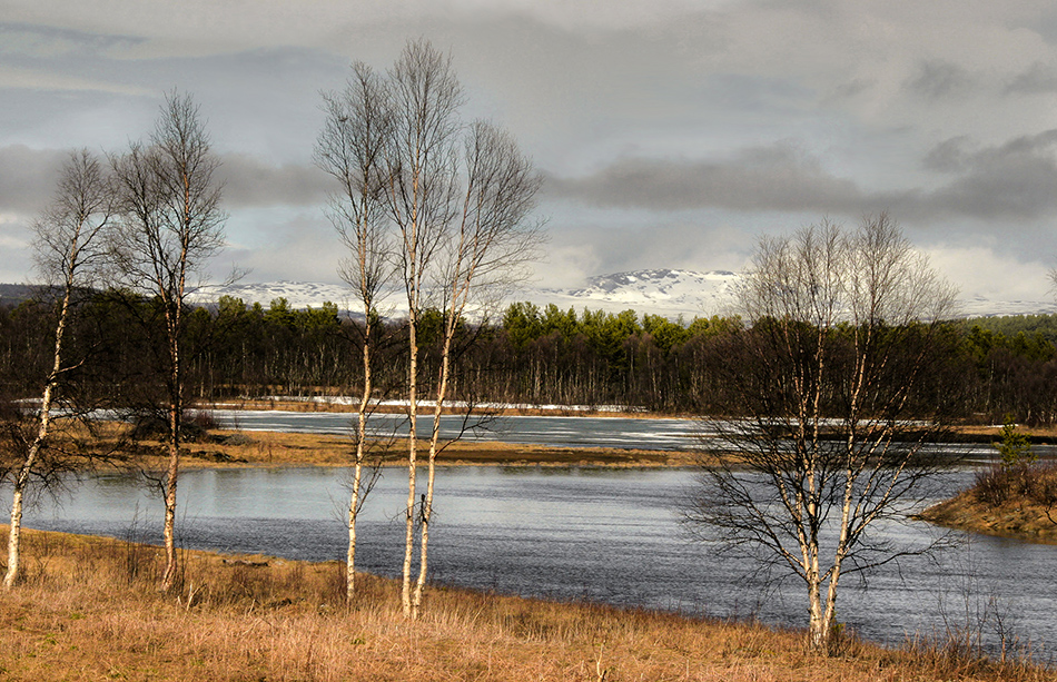 photo "spring" tags: landscape, nature, 