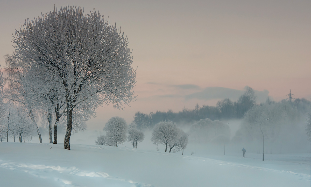 фото "***" метки: пейзаж, город, Петербург, зима, иней, туман, утро