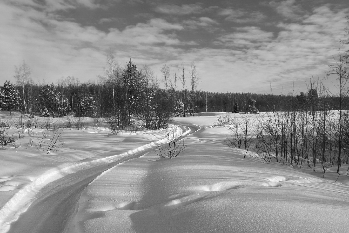 photo "***" tags: landscape, nature, winter, монохром