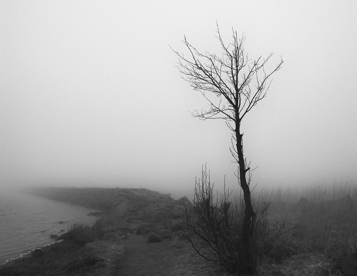 photo "***" tags: landscape, black&white, 