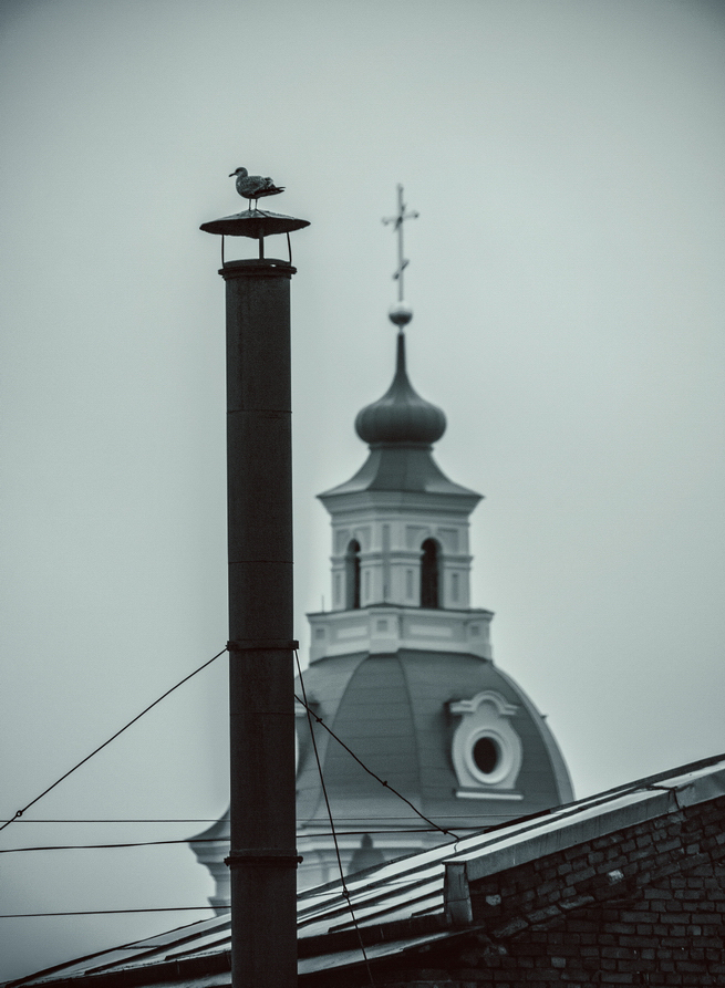 photo "птица на трубе" tags: misc., black&white, city, bird, temple, крест, крыша, труба, чайка