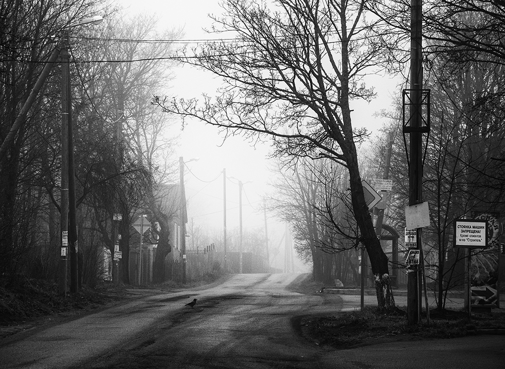 фото "Туманное утро" метки: пейзаж, черно-белые, 