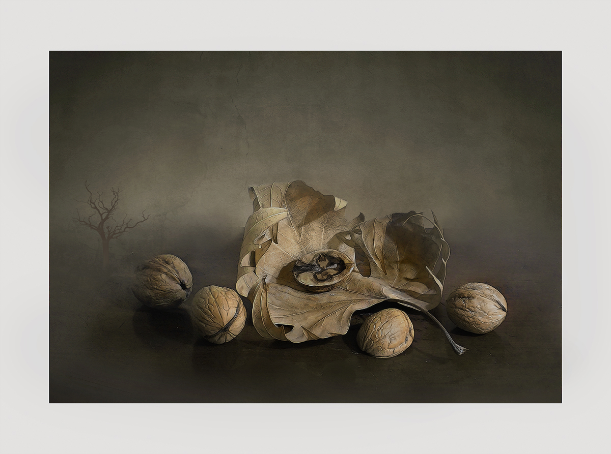 фото "4 ореха" метки: натюрморт, digital art, 
