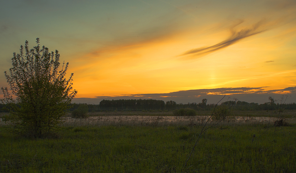 photo "***" tags: nature, landscape, 