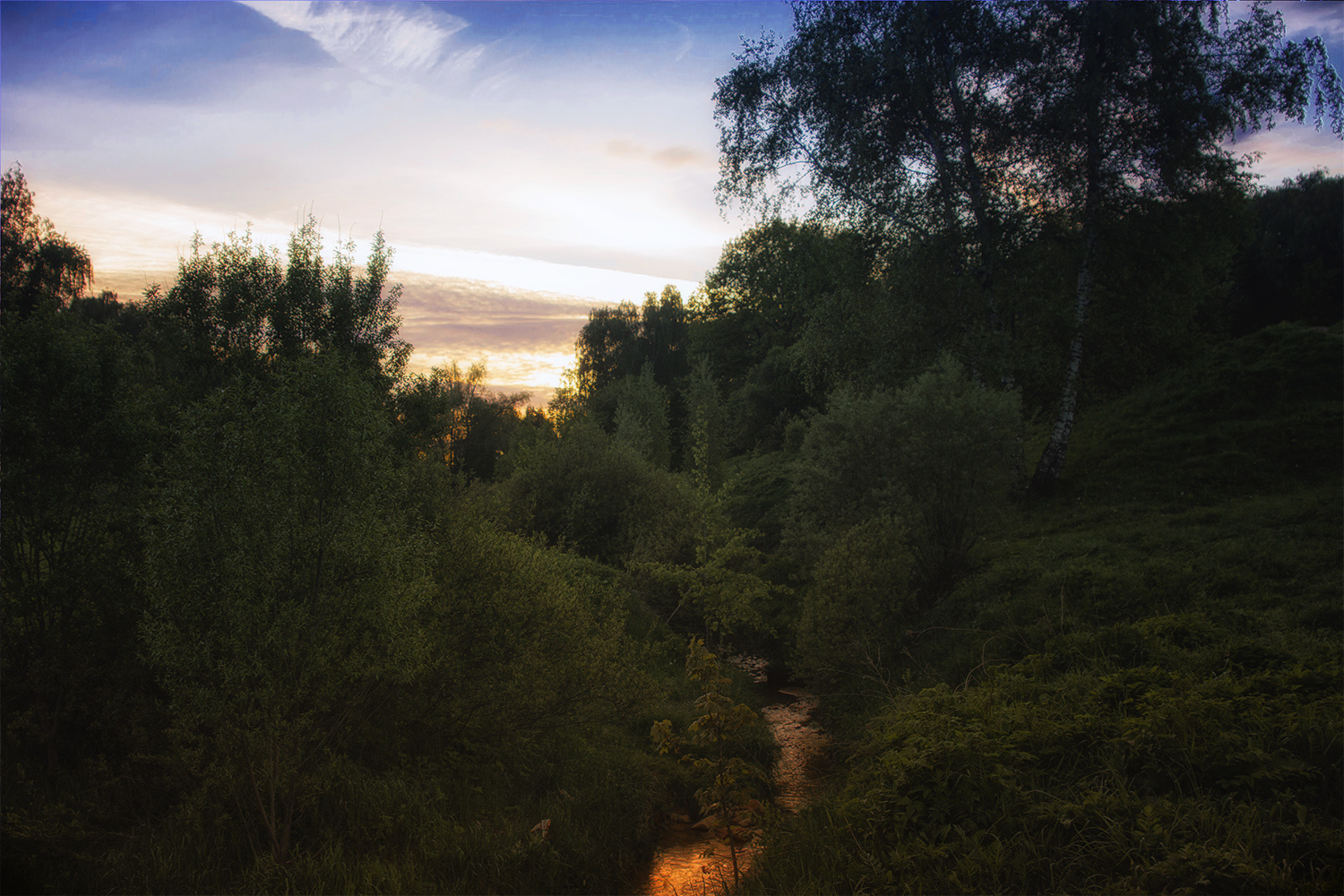 photo "***" tags: landscape, forest, sunset