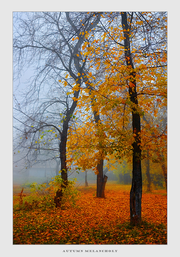 photo "***" tags: nature, autumn